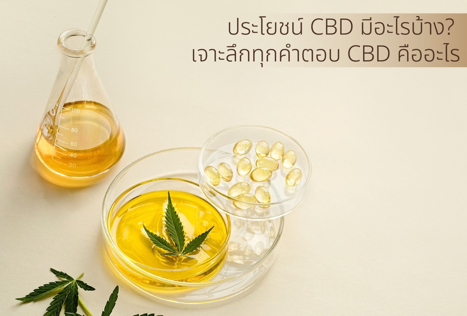 ประโยชน์cbd-cbdคืออะไร-เครื่องสำอางค์CBD-CBD skincare-CBD Mask-chillbox-mask