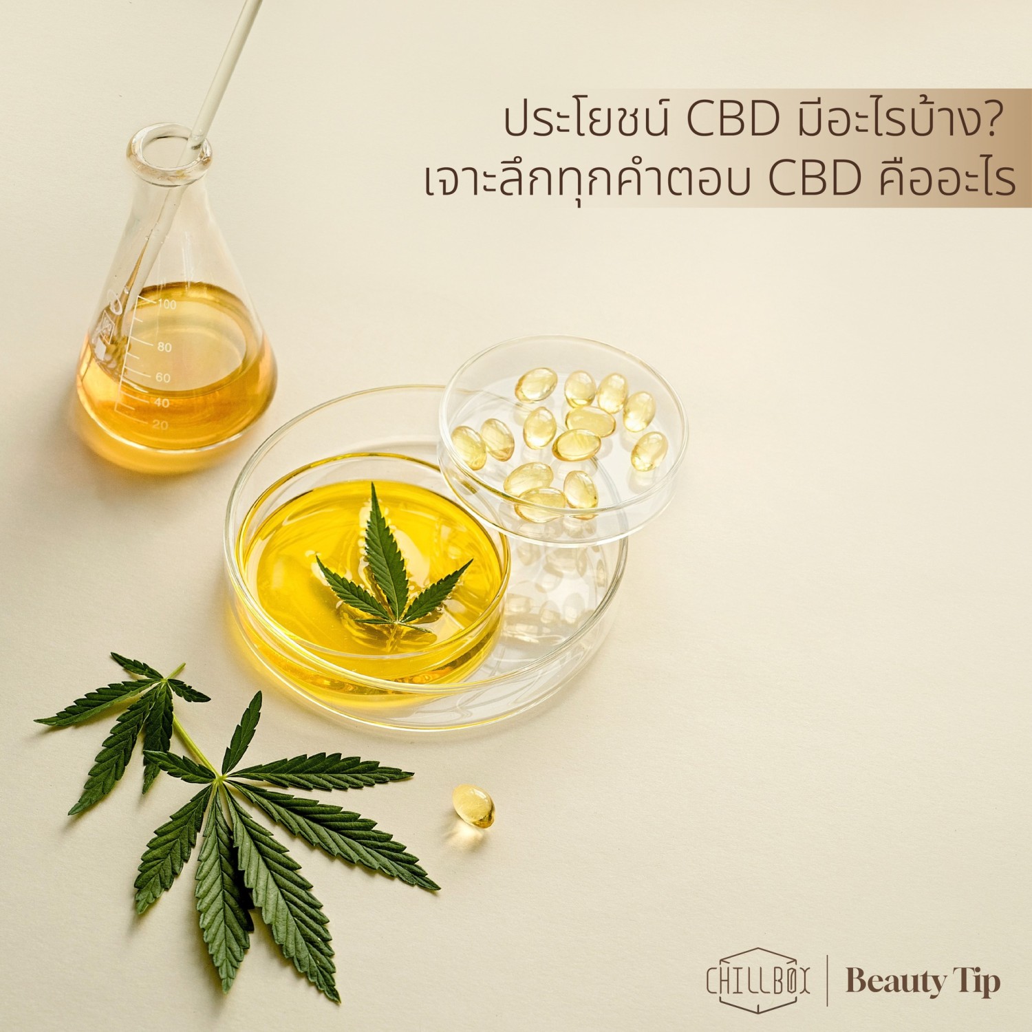 ประโยชน์cbd-เจาะลึกทุกคำตอบ-cbdคืออะไร-เครื่องสำอางค์CBD-CBD skincare-CBD Mask