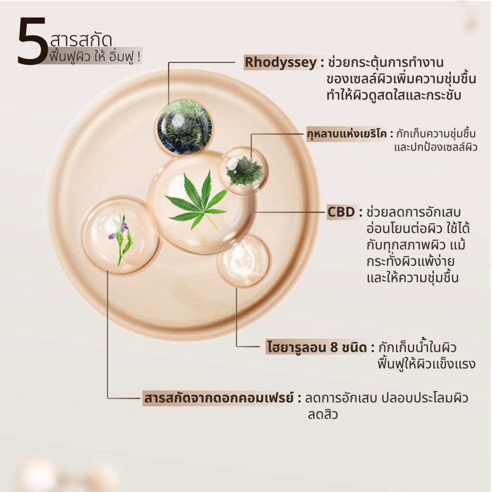 ลดสิว-ลดริ้วรอย-ลดรอยแดง-ลดรอบด่างดำ-ผิวกระจ่างใส-หน้ายกกระชับ